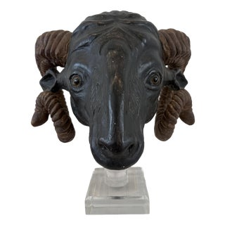 Northern European Artist, Ram's Head, 19th Century, Wood For Sale