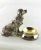 A metal silver plated a Dog, I think the Breed is a Retriever sitting next to an attached bowl that is used as an open...