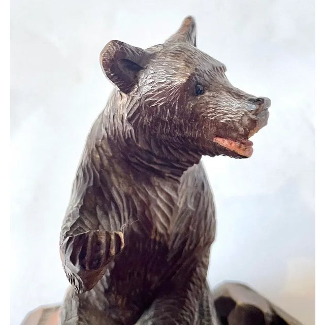 Brown Antique Black Forest Carved Bear Inkwell For Sale - Image 8 of 8