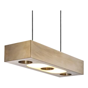 Brass Oblivion Suspended Light by Lexavala