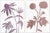 Hable Wildflowers- Large by Susan Hable For Sale - Image 4 of 4
