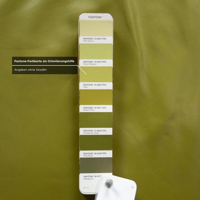 Plura 2-Seater Sofa in Leather from Rolf Benz For Sale - Image 12 of 17