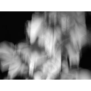 Contemporary Abstract Fine Art Black & White Photographic Print For Sale