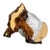 A William Brownfield Majolica Pitcher Modeled as a Cockatoo, English, Dated 1877 For Sale - Image 17 of 18