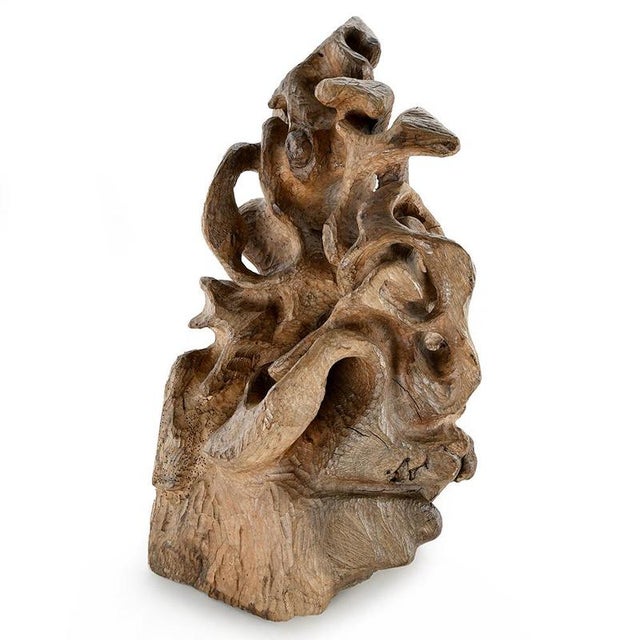 This unique teak root, carefully sculpted by nature, embodies raw art and natural elegance. with its generous dimensions...