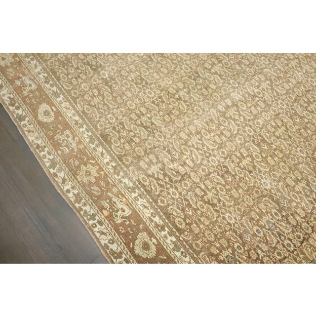 Brown Early 20th Century Bidjar Carpet - 9'11" x 12'1" For Sale - Image 8 of 11
