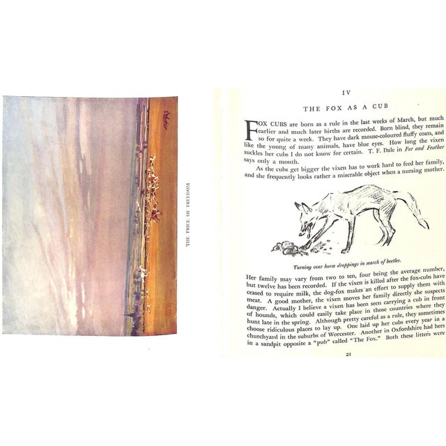 Paper "The Fox" 1949 Edwards, Lionel For Sale - Image 7 of 13