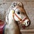 1940s Mobo Toys Steel Riding Hobby Horse For Sale - Image 4 of 9