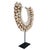 Tribal Cone Shell Necklace on Stand, Papua New Guinea, Contemporary For Sale - Image 3 of 16