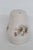 English Staffordshire England Ceramic Daisy Motif Individual Salt or Pepper Shaker 4997b For Sale - Image 3 of 10