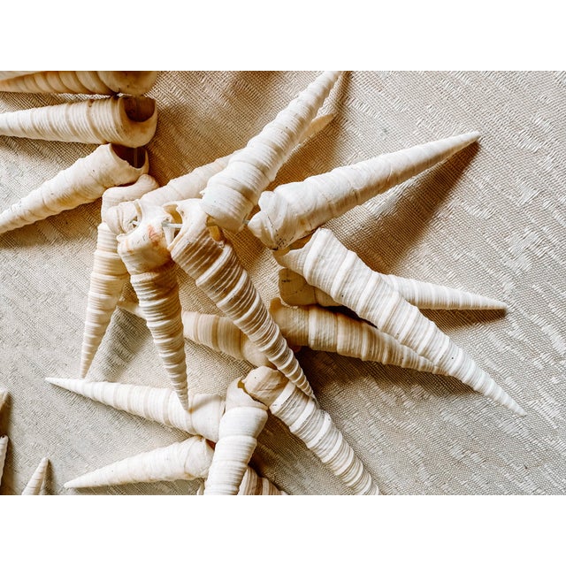 Vintage Coastal Beach Seashells Holiday Christmas Garland or Table Decor For Sale - Image 10 of 11