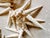 Vintage Coastal Beach Seashells Holiday Christmas Garland or Table Decor For Sale - Image 10 of 11
