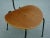 Wood Teak Chair by Hans Bellmann for Domus Schwaikheim, 1960s For Sale - Image 7 of 11