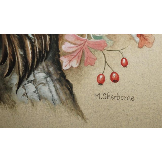 Gold M Shermorne, Kingfisher, Ornithology Watercolour For Sale - Image 8 of 12