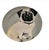 Sally Muir Dog-a-Day Dessert Plate Set of 4 For Sale - Image 4 of 7