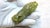 Gemstone Chinese Nephrite Jade “Buddha’s Hand” Citron Scholar’s Vessel, Late Qing Dynasty For Sale - Image 7 of 8