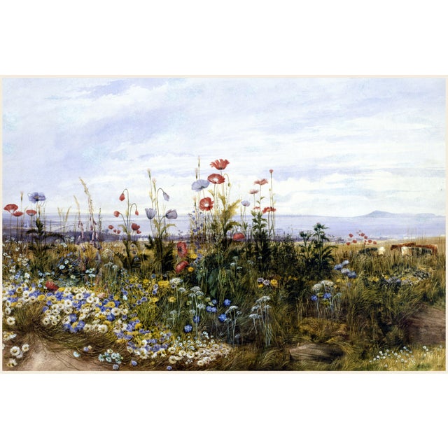 1830s Vintage Wildflower Coastal Landscape Art Print by Andrew Nicholl - 60" X 40" For Sale