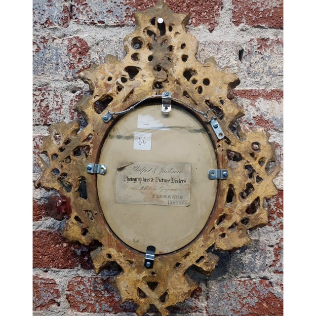 Wood Michelangelo Meucci -Still Life of Song Birds -19th Century Oil Painting For Sale - Image 7 of 9