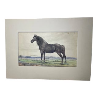 Antique 19th Century Black French Trotter Horse Realism Watercolor Painting Art For Sale
