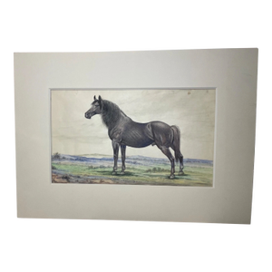 Antique 19th Century Black French Trotter Horse Realism Watercolor Painting Art