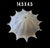 Bring authentic Italian elegance into your home with this stunning Mid-Century Modern Murano glass light shade. Crafted in...