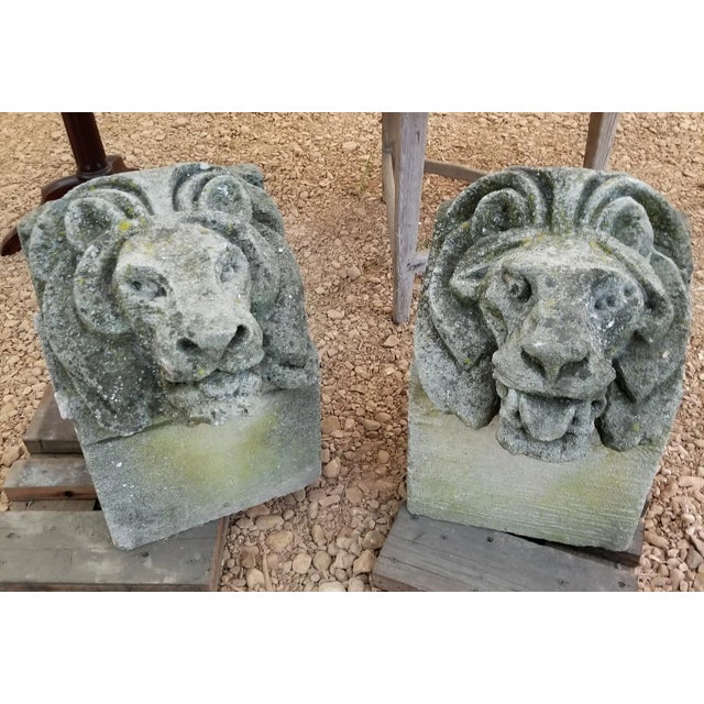 Pair of Antique Carved Granite Lion Heads For Sale - Image 12 of 12