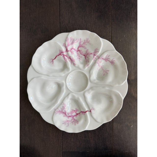 Late 19th Century Late 19th Century French Le Chambrelain Porcelain Hand-Painted Seaweed Oyster Plates - Set of 8 For Sale - Image 5 of 13