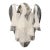 Murano Glass Wall Sconces "Rondini" | Mazzega Style For Sale