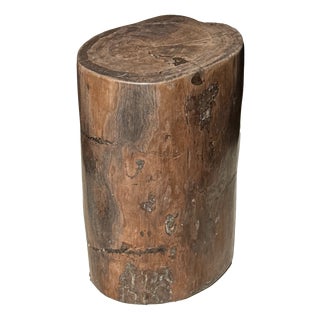 Side Table in Brown Petrified Wood, 1980s For Sale