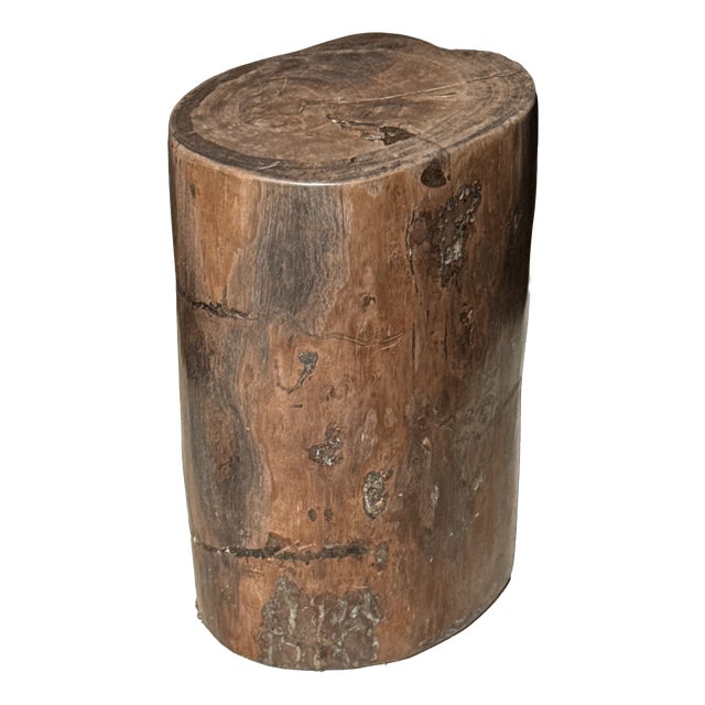 Side Table in Brown Petrified Wood, 1980s For Sale