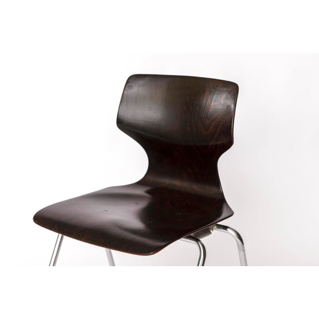 1980s Vintage German Flötotto Pagwood Chairs in Chrome and Plywood, 1980s, Set of 6 For Sale - Image 5 of 11