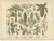 Ferns & Conifers, 1885, Paper, Set of 2 For Sale - Image 3 of 9