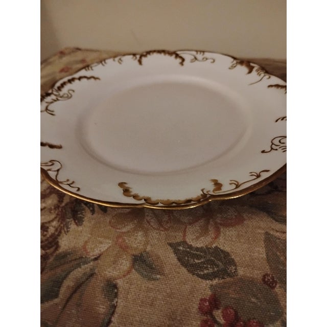 Exquisite porcelain made in France. These dishes are rare they have a hint of blush in the porcelain. Haviland Limoges...