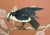2020s "Eagle Opportunity" Eagle Hawk Falcon Chinoiserie Painting by Allison Cosmos For Sale - Image 5 of 7
