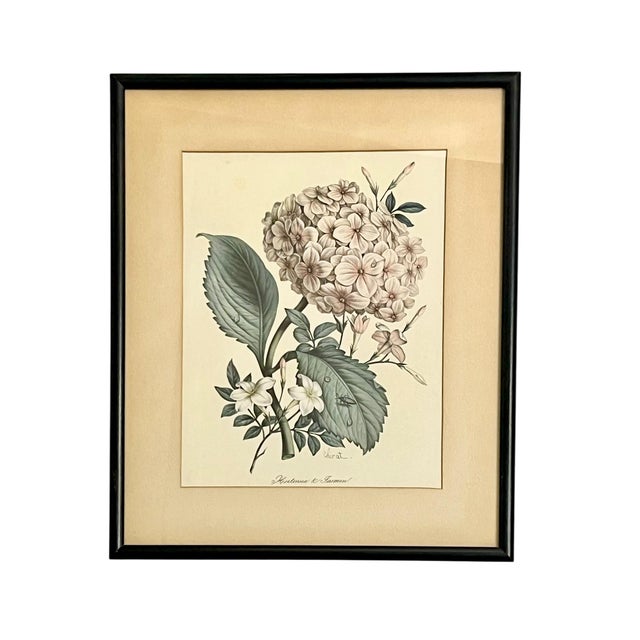 Cabin Pair Vintage English Country House Framed Floral Botanical Prints After Redoute and Chirat For Sale - Image 3 of 14