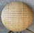 Late 20th-Century Nicely-Sized Contemporary Winnowing-Style Handwoven Bamboo Basket For Sale In Austin - Image 6 of 17
