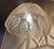 Baroque Leaf Suspension Light from Peill & Putzler, 1970s For Sale - Image 3 of 11