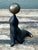 Exude a sense of playful sophistication with this enchanting vintage mid-century sculpture, capturing a sea lion in a...