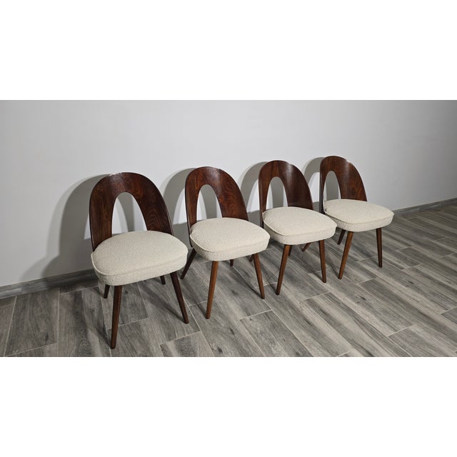 Dining Chairs by Antonin Suman, 1960s, Set of 4, in Restored conditions. Designed 1960 to 1969 I have official proof of...