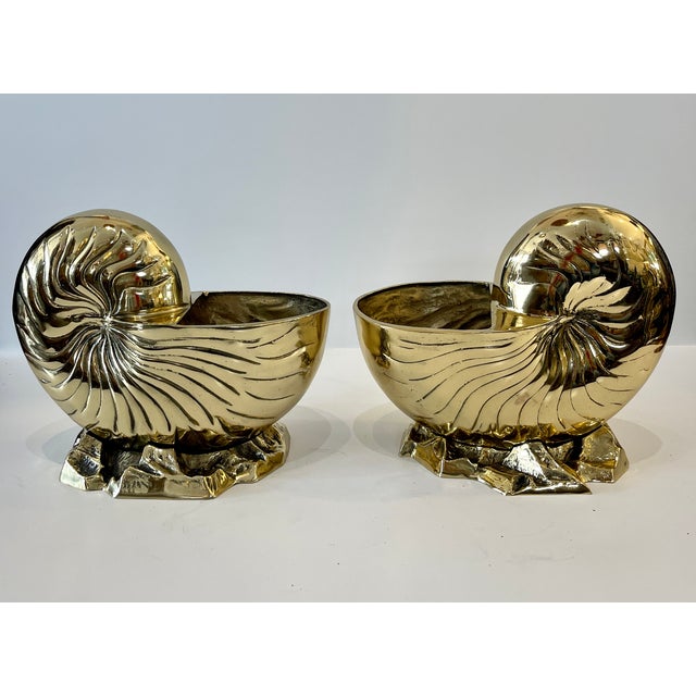 Just in, this Pair of Large Solid Brass Nautilus Shell Bottle Coolers or Planters These large solid brass nautilus shells...