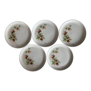 Set of 5 Vintage Salem Maple Leaf Plates For Sale