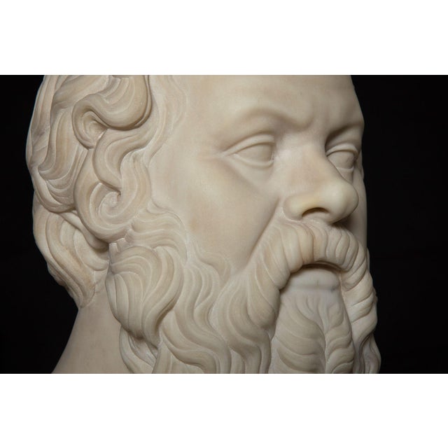 19th Century Antique Italian Grand Tour Marble Bust of Socrates Ca. 1860-80 For Sale - Image 10 of 17