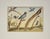 "Collection Of The Most Rare Birds" - Hand Colored Engraving Collection of the Most Rare Birds Drawn and Engraved From...
