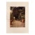 1905 Italian Original Print - The Ilex Walk, Villa Dell'Ombrellino - From Book Florence & Some Tuscan Cities (1905) For Sale