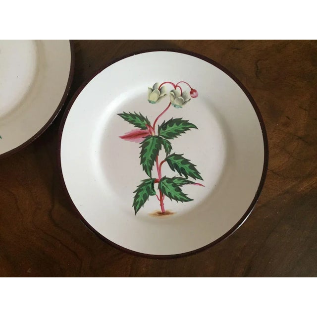 Early 19th Century English Creamware Botanical Plates with Named Flower Specimens - A Pair For Sale - Image 4 of 10
