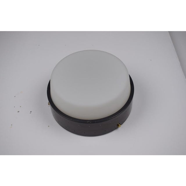 Vintage Greco Ceiling Lamp, 1950s For Sale - Image 6 of 13