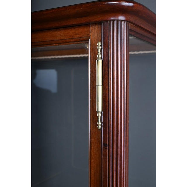 Art Nouveau Mahogany Display Case, 1900s For Sale - Image 10 of 18