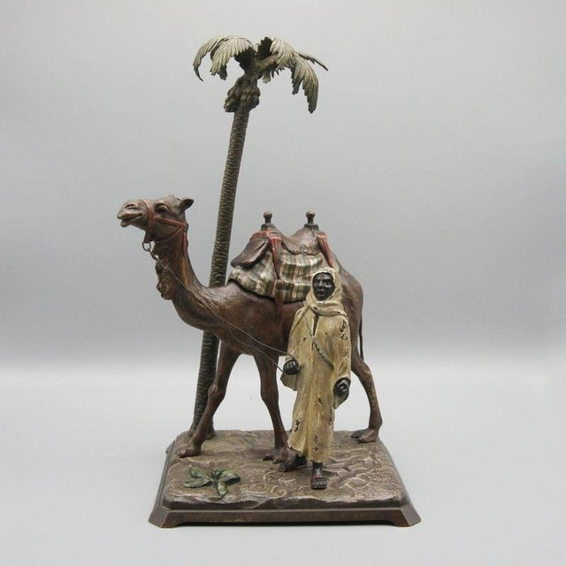 Brown Antique Man with Camel by Franz Bergman, 1890s For Sale - Image 8 of 8
