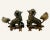 These late Ming Dynasty bronze Foo Dogs or Temple Lions are fierce and somewhat primitively rendered. They are a proper...