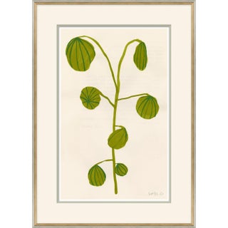 Fruity I Framed Art Print by Susan Hable For Sale